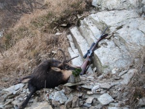 Gams jagd in Rumänien 2 (Small)